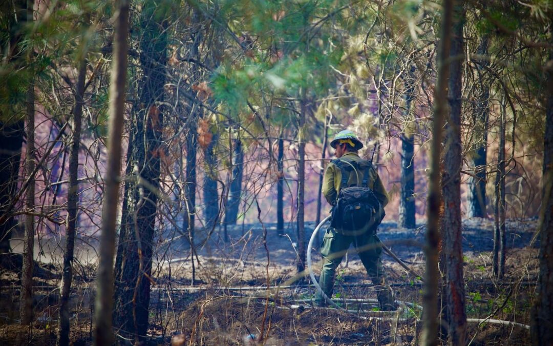 Building Communication Resilience for Australia’s Bushfire Response
